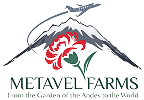 metavel