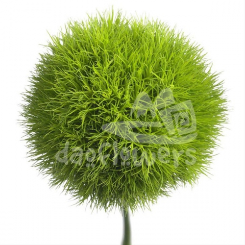 Green Ball