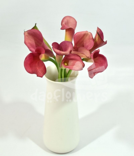 mini calla cherry