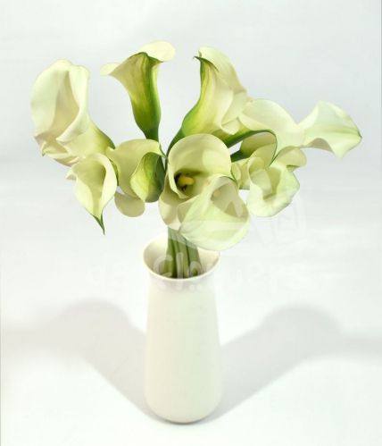 mini calla white