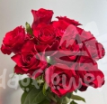 red mornach